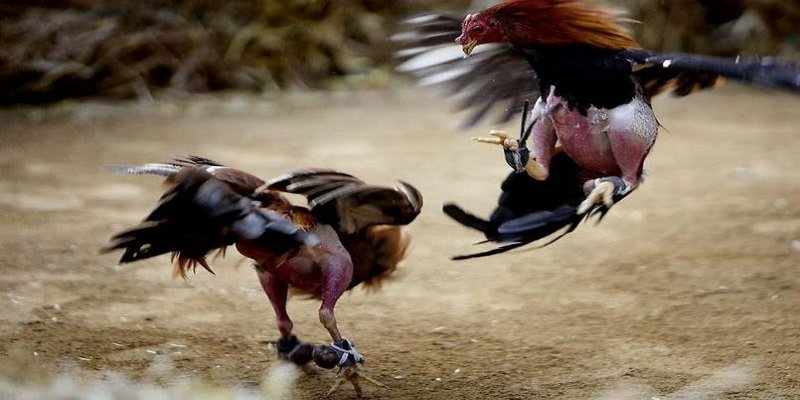 Cách xử lý chấn thương và chăm sóc sau tập luyện