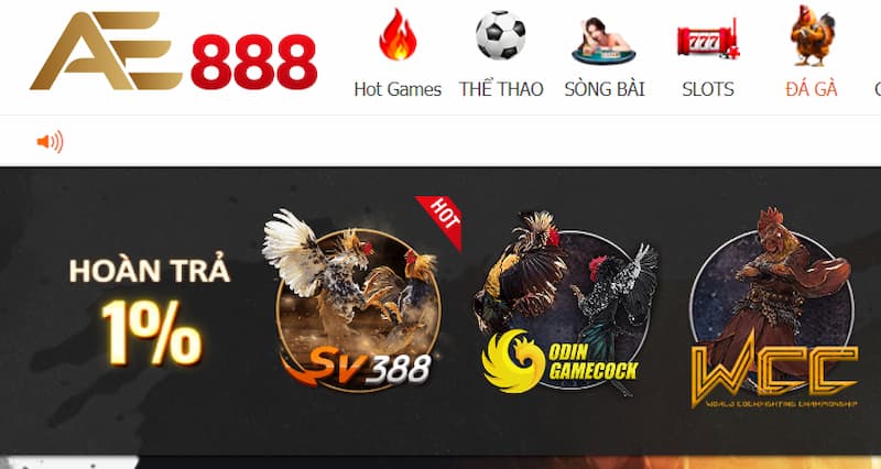 Đá gà cựa dao diễn ra  tối đa 5 phút với nhiều đòn đánh hiểm, có tính sát thương cao