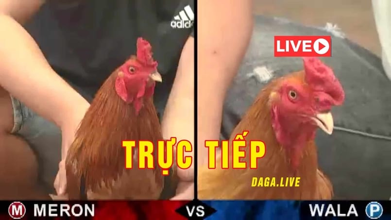 Những ưu điểm quan trọng cần biết đến