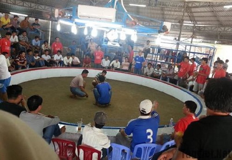 Thông tin về trường gà Savan