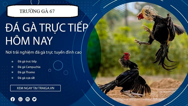 Cập nhật lịch phát sóng mới nhất